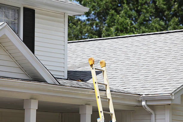 Best Steel Siding Installation  in Orange Grove, TX